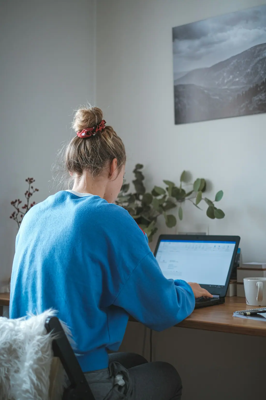 Woman in a blue sweater working on a laptop beside houseplants