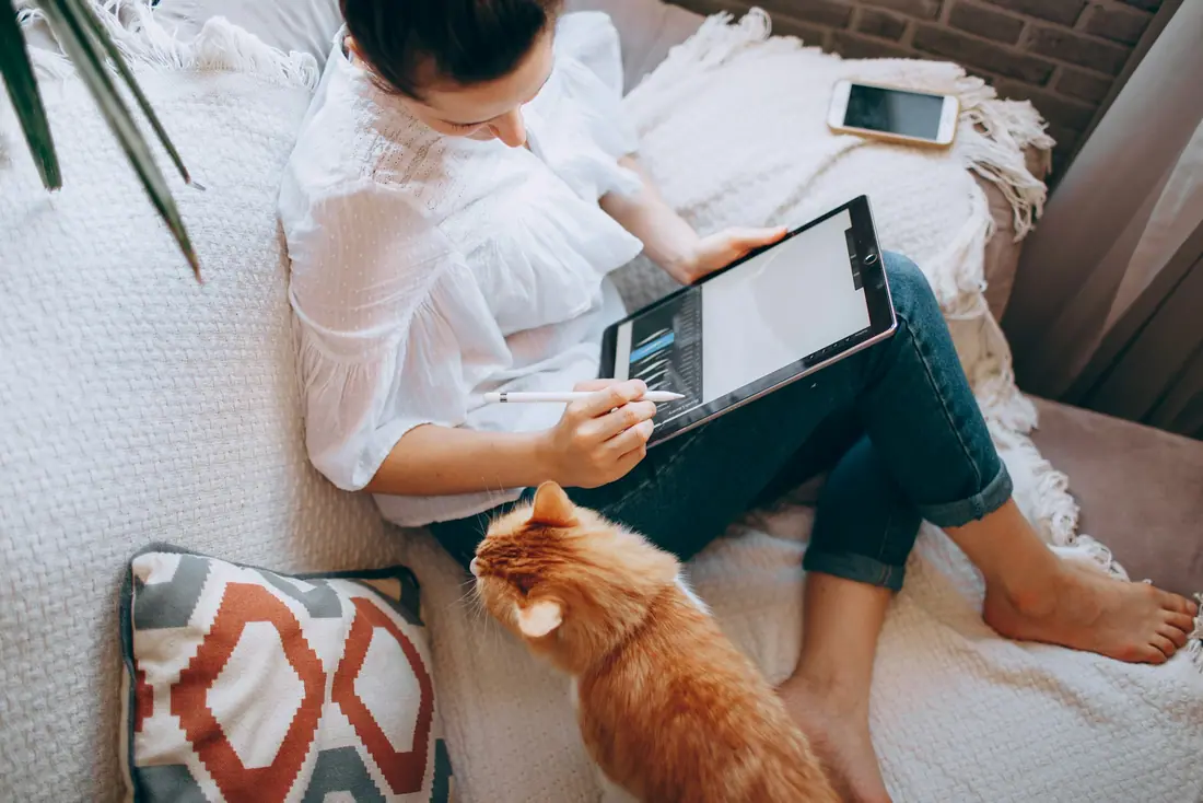 Woman using a tablet on a sofa with a cat beside her and a phone nearby